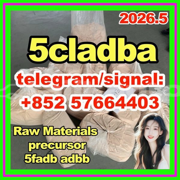Big with watermark 512