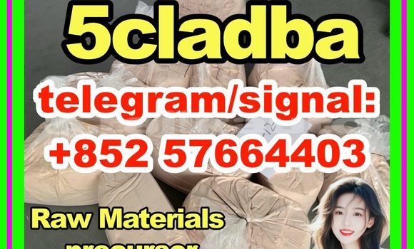 Medium with watermark 512