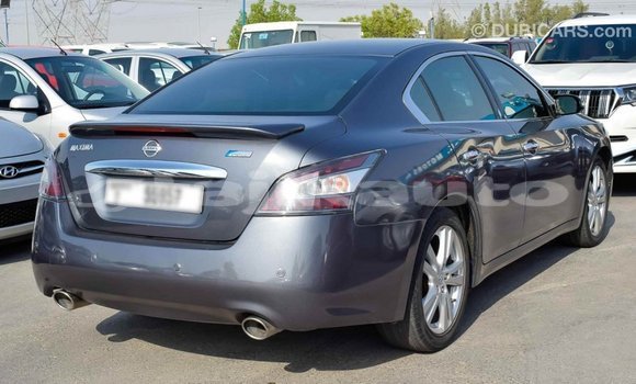 Buy Import Nissan Maxima Other Car in Import - Dubai in Dushanbe Buy Import Nissan Maxima Other Car in Import - Dubai in Dushanbe