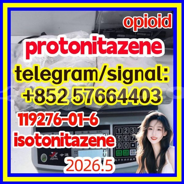 Big with watermark p1