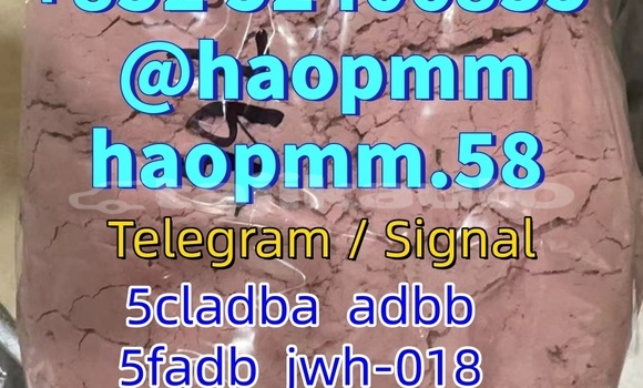 Buy 5cladb 5fadb in Dangara in Khatlon Buy 5cladb 5fadb in Dangara in Khatlon