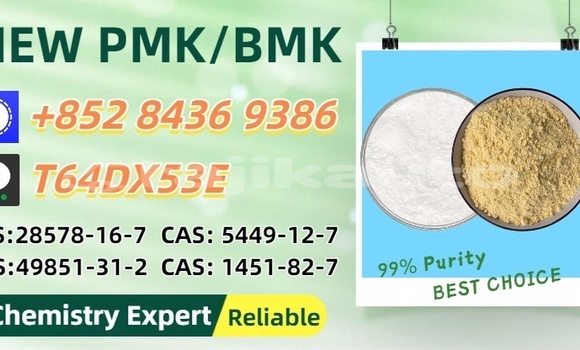 Buy Used Gordon Roadster Brown Car in Moskva in Khatlon