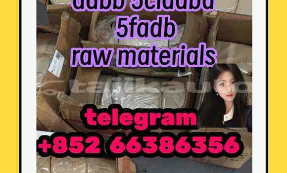 Medium with watermark 2