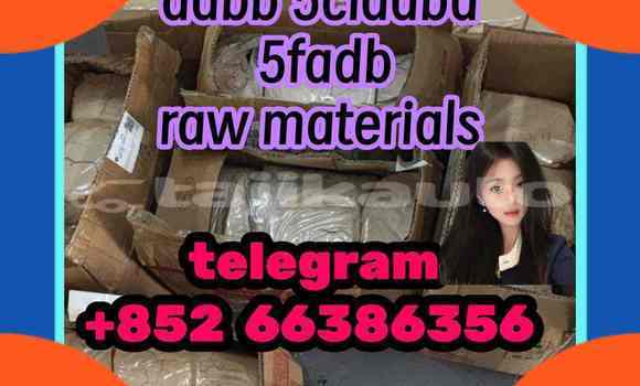 Medium with watermark 4