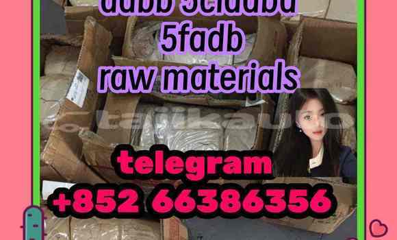 Medium with watermark 5