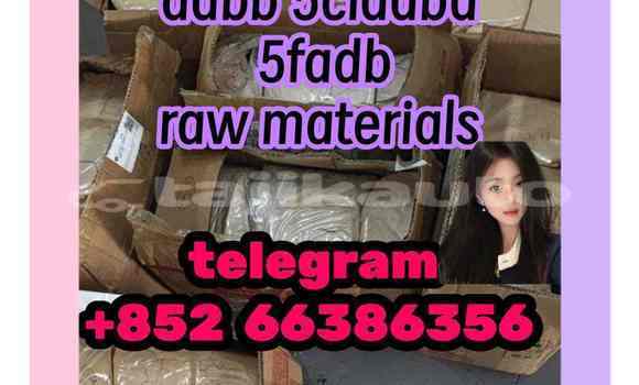 Medium with watermark 6