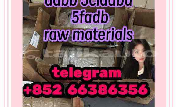Medium with watermark 7