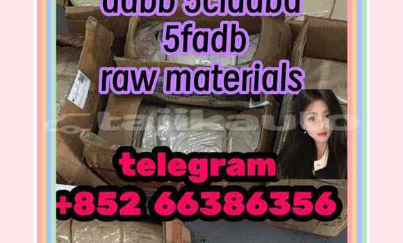 Medium with watermark 8