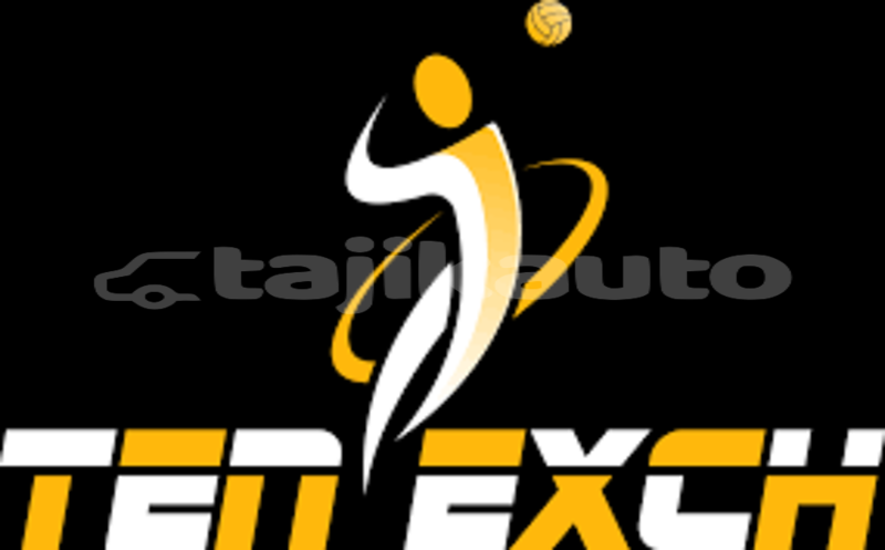 Big with watermark bb xl bully images 720 x 480 v29012026 11