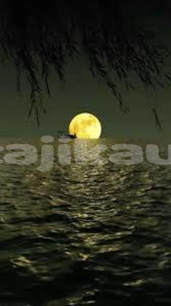 Big with watermark images 4 