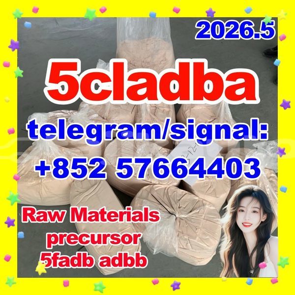 Big with watermark 512