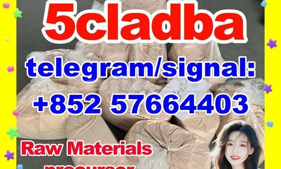 Medium with watermark 512