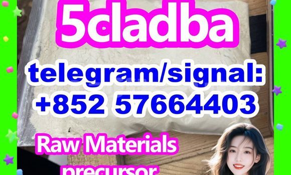Medium with watermark 53