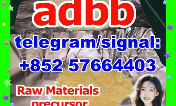 Medium with watermark 59