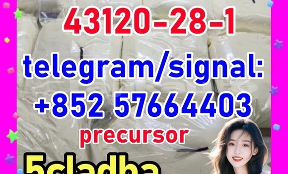 Medium with watermark 43121