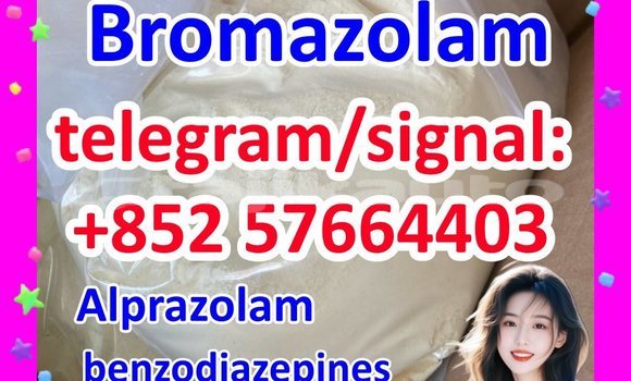 Medium with watermark b1