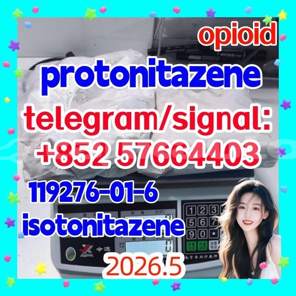 Big with watermark p1