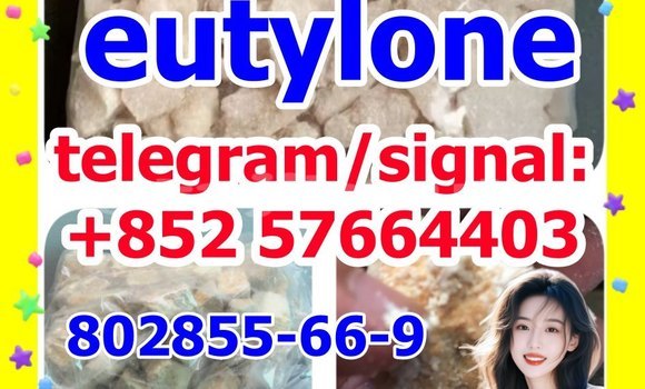 eutylone 802855-66-9