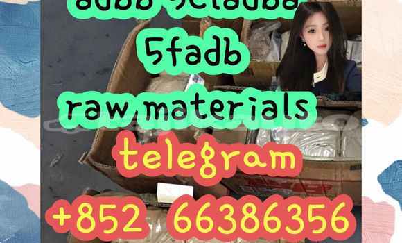 Medium with watermark 1