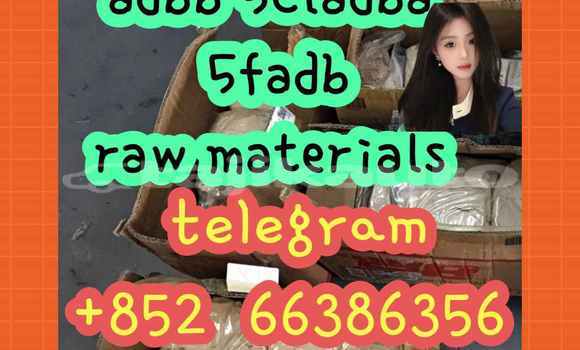 Medium with watermark 2