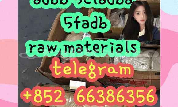 Medium with watermark 7