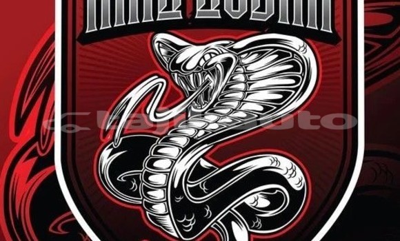 cvhbgc