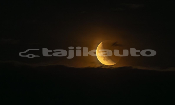 Medium with watermark 0e2d1bc0 8c8d 11f0 84c8 99de564f0440