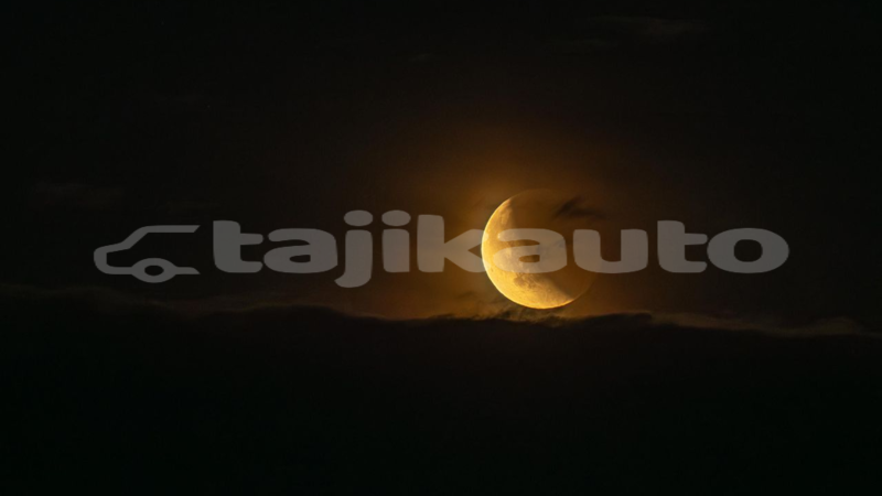 Big with watermark 0e2d1bc0 8c8d 11f0 84c8 99de564f0440