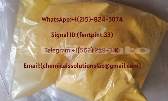 Medium with watermark whatsapp image 2026 05 22 at 1.33.35 pm
