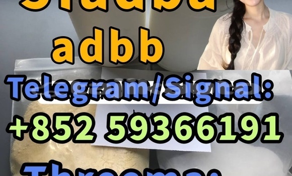Medium with watermark 8