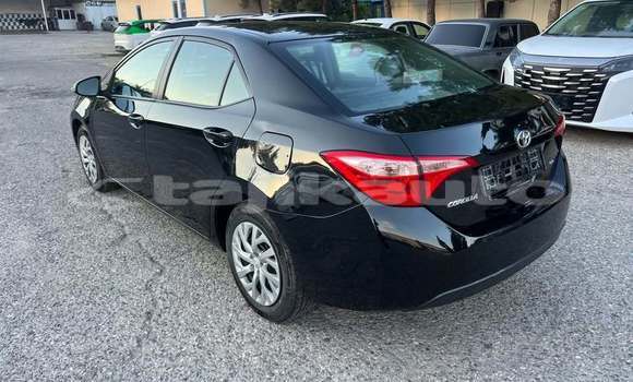Buy Used Toyota Corolla Black Car in Dushanbe in Dushanbe Buy Used Toyota Corolla Black Car in Dushanbe in Dushanbe