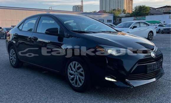 Buy Used Toyota Corolla Black Car in Dushanbe in Dushanbe Buy Used Toyota Corolla Black Car in Dushanbe in Dushanbe