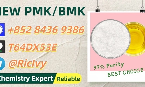 Buy Used Ecomotors Estrima Biro Brown Car in Sovetskiy in Khatlon