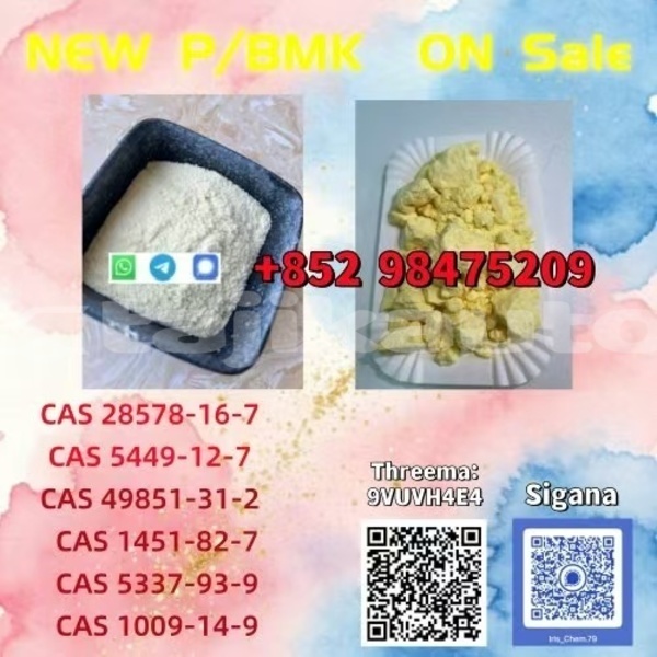 Big with watermark alta motors redshift sm sughd ayni 27721