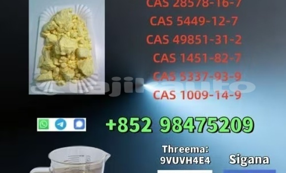 Buy NEW PMK BMK CAS 5449-12-7 in Chkalov in Sughd Buy NEW PMK BMK CAS 5449-12-7 in Chkalov in Sughd