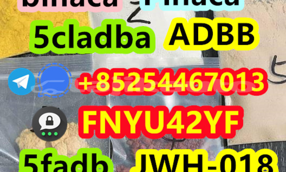 Buy New Acura ILX Blue Car in Asht in Sughd Buy New Acura ILX Blue Car in Asht in Sughd