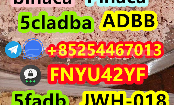 Buy Used Acura EL Blue Car in Buston in Sughd