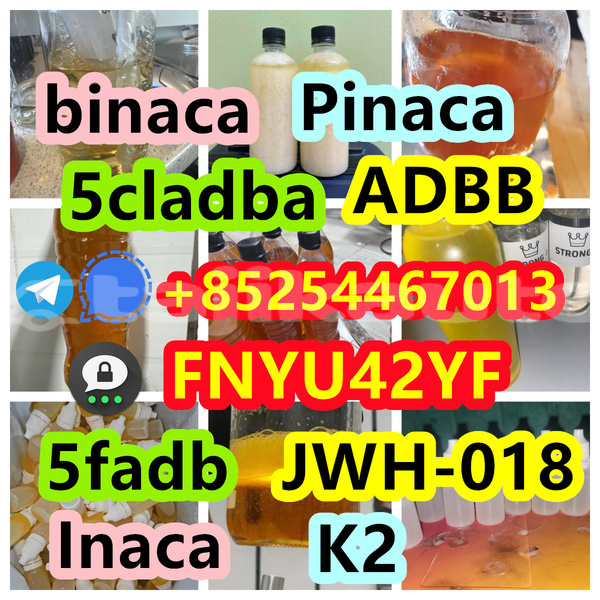 Big with watermark alpina b3 sughd buston 27734