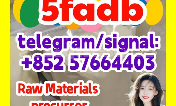 Medium with watermark 51