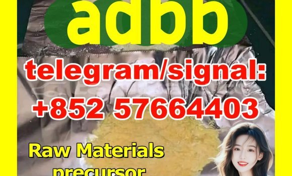 Medium with watermark 53