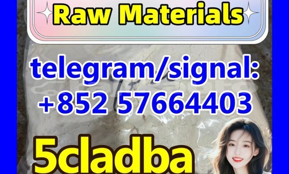 Medium with watermark 54