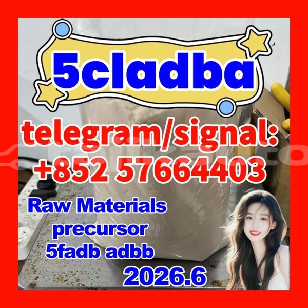 Big with watermark 55