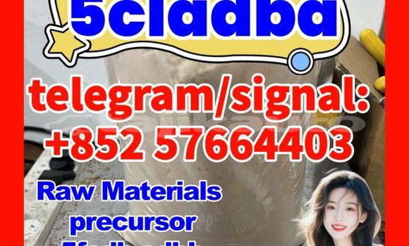 Medium with watermark 55