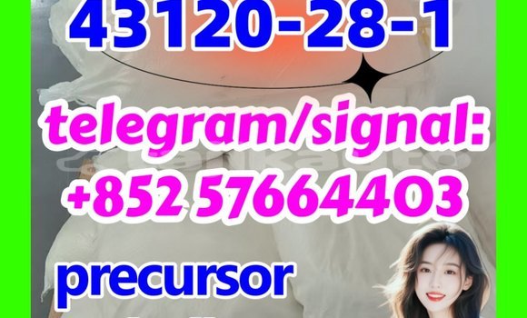 Medium with watermark 43120