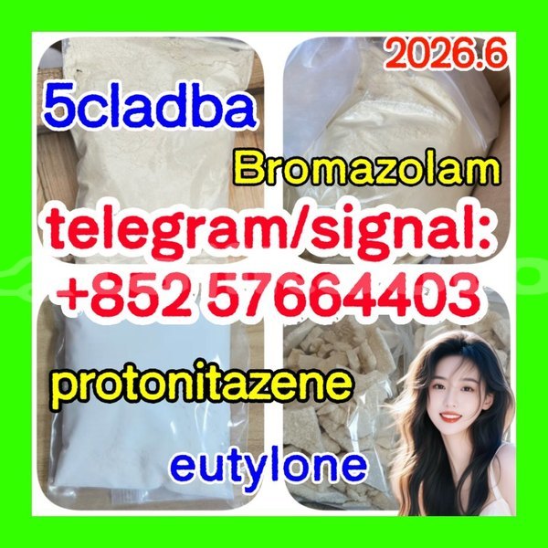 Big with watermark z1