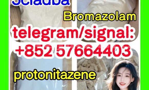 Medium with watermark z1