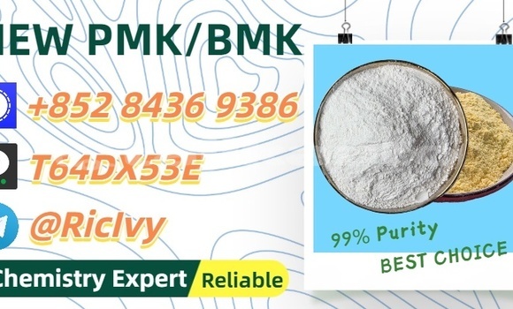 Buy Used Coggiola T Rex Blue Car in Vakhsh in Khatlon