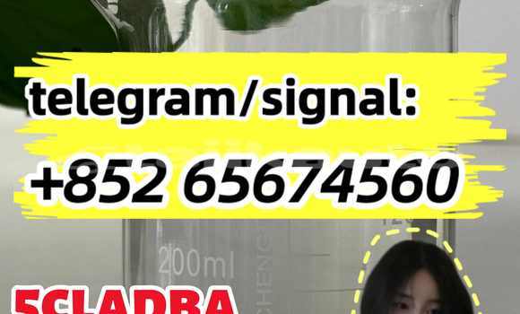 Buy CAS 1119-51-3 in Chkalov in Sughd Buy CAS 1119-51-3 in Chkalov in Sughd