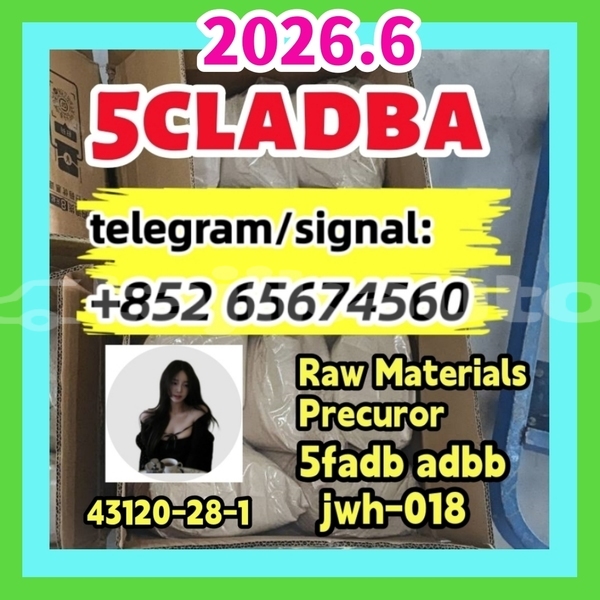 Big with watermark photo 2026 03 04 10 21 30 %e5%89%af%e6%9c%ac %e5%89%af%e6%9c%ac