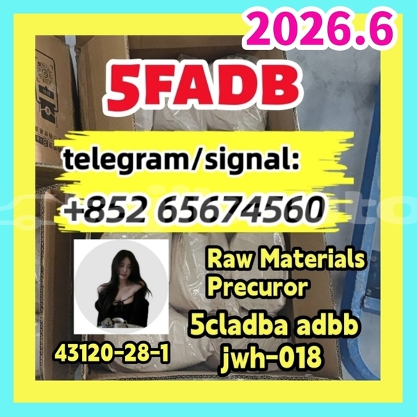 Big with watermark photo 2026 03 04 1dvgerth0 21 30 %e5%89%af%e6%9c%ac %e5%89%af%e6%9c%ac